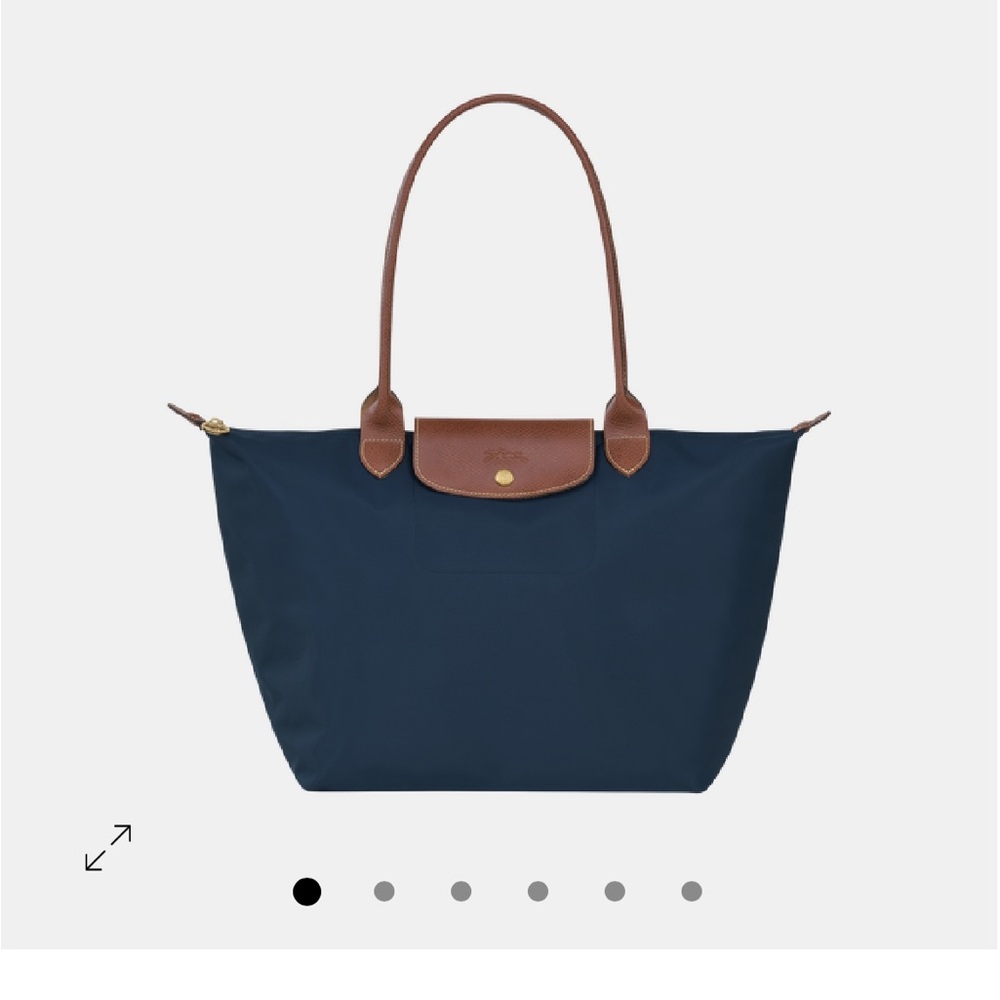 Longchamp Blue and Brown Le Pliage Tote Bag